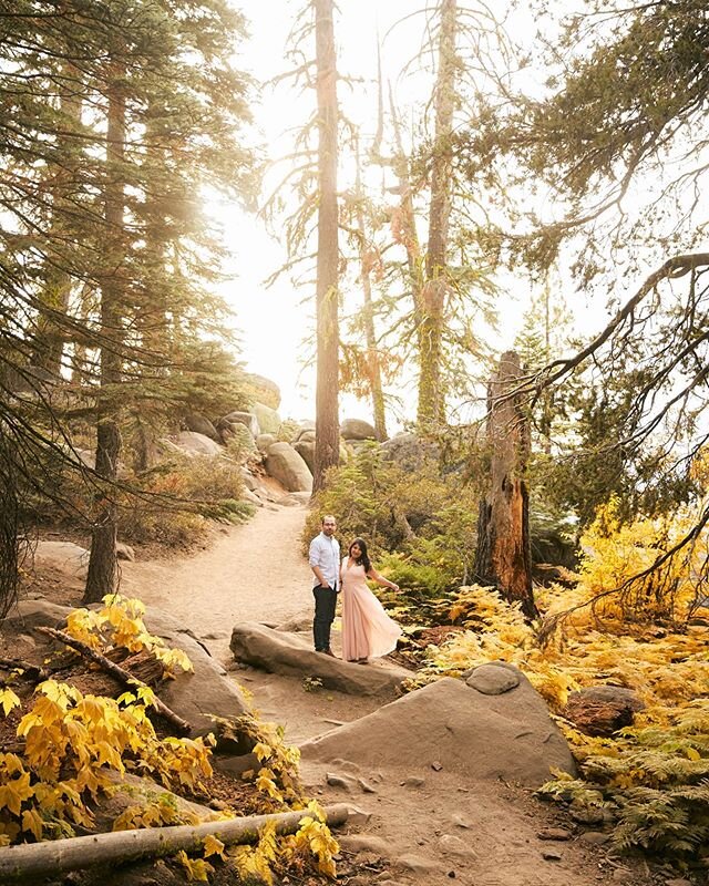 I think if we weren't photographers we would probably be tour guides. I love when couples pick their favorite place for their engagement session, but I also love when they let us pick and we get to show them some of our favorite spots!
Taft Point is of course one of them.

We are heading over to Big Sur this weekend for two engagement sessions and we're so excited! 
Monterey/Carmel/Big Sur area has SO many amazing spots for photos that it's hard to pick! 
Can you guess one or two that we'll be taking pictures at?!
.
•
#engagementpictures #taftpoint #yosemitenp
#yosemiteweddingphotographer #taftpointyosemite #nationalparklife #nationalparksusa #bigsurcalifornia #montereyweddingphotographer #carmelweddingphotographer #fresnoweddings #bridetobe2020 #fresnoweddingphotographer #clovisphotographer #clovisweddingphotographer #engagedlife #brideandgroomtobe #engaged #adventurouslovers #bayareaweddingphotographer #sanfranciscoweddingphotographer #justengaged #engagementphotos #fresnophotographer