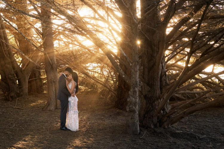 How to Elope in Big Sur - Stephan & Adriana