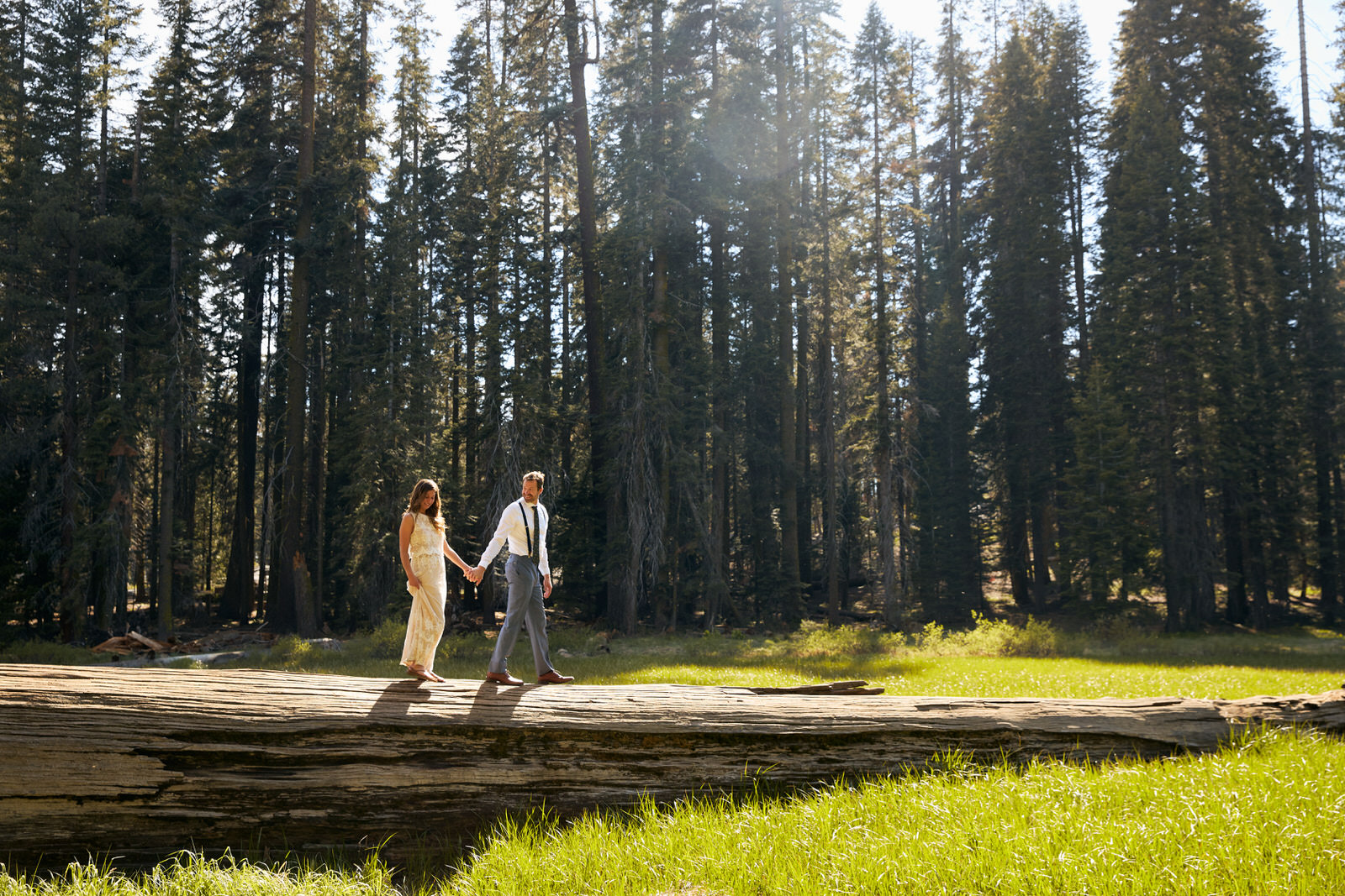 Sequoia National Park Wedding