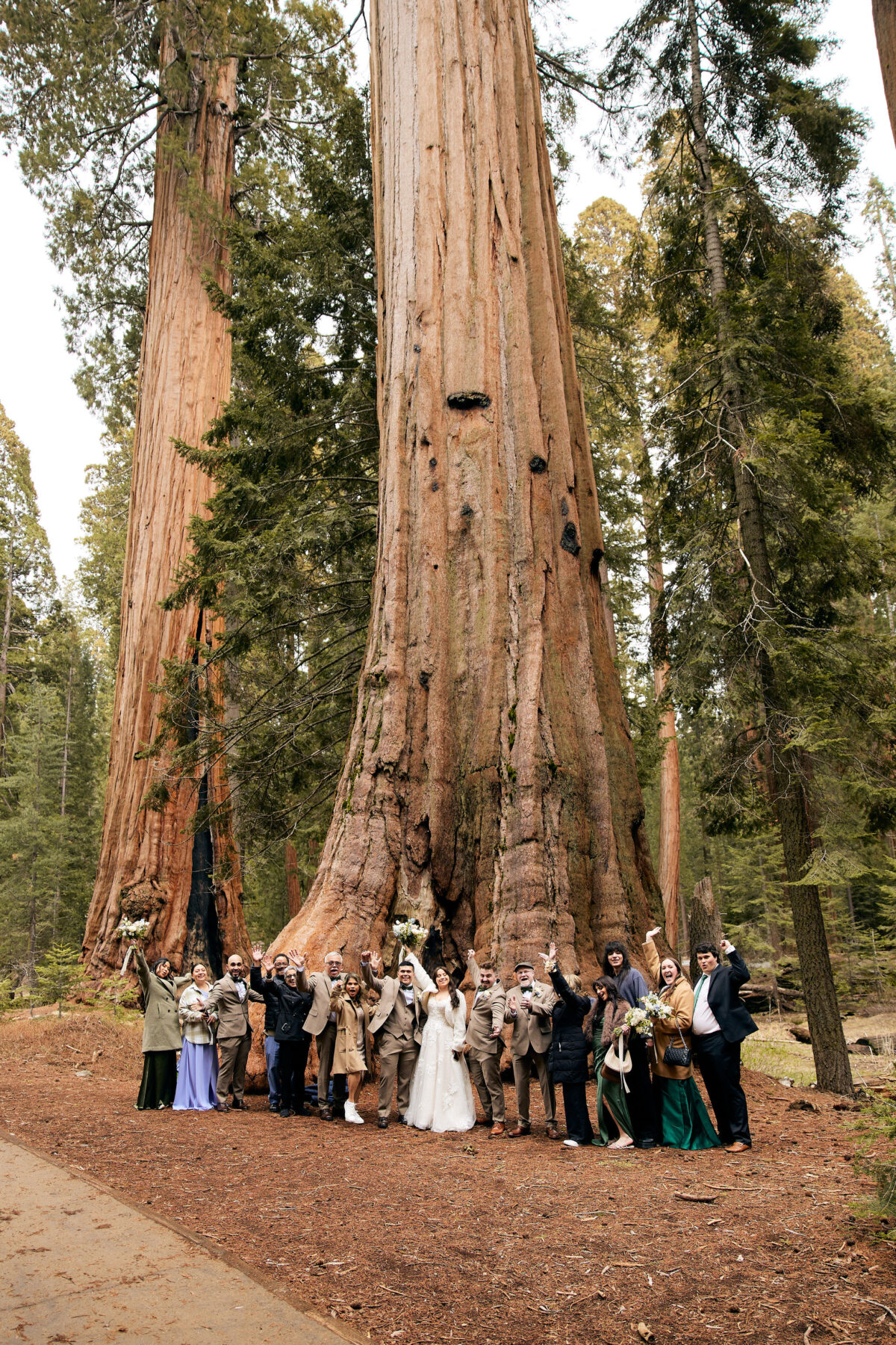 Sequoia National Park wedding locations